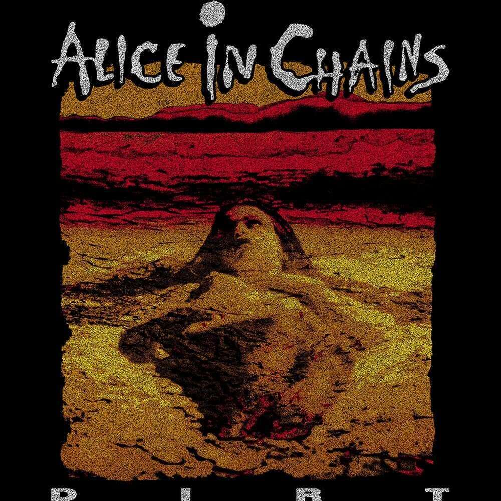 T shirt Mens Alice in Chains T-Shirt shirts tshirt graphic tee Casual tops summer clothes Short sleeve Free shipping