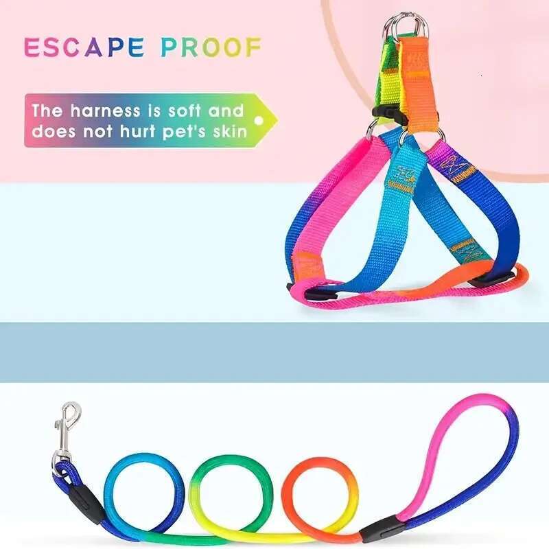 Colorful No-Pull Pet Harness Leash Set Small Medium Dogs Cats - Perfect For Outdoor Walking And Training