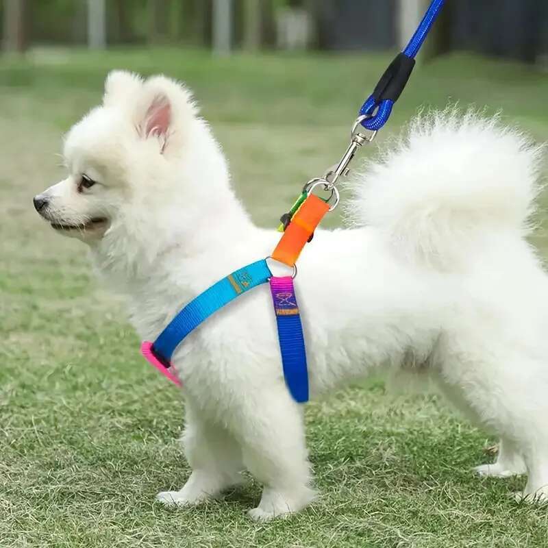 Colorful No-Pull Pet Harness Leash Set Small Medium Dogs Cats - Perfect For Outdoor Walking And Training