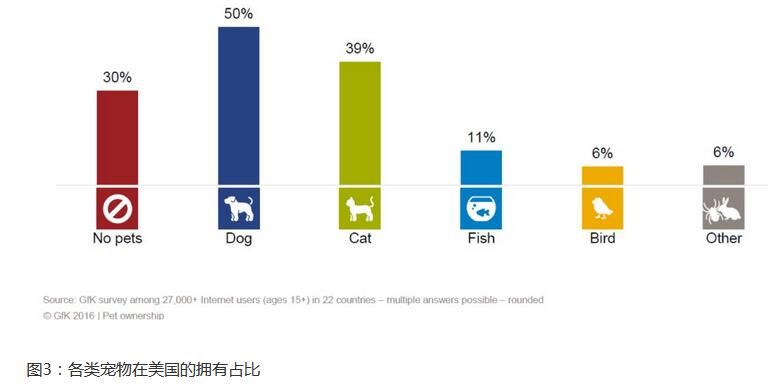 宠物用品包括哪些产品宠物用品批发市场有哪些JN江南app(图3)