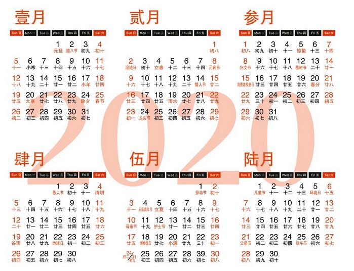 美国2020年上半年度g_2020年美国大选图片(2)