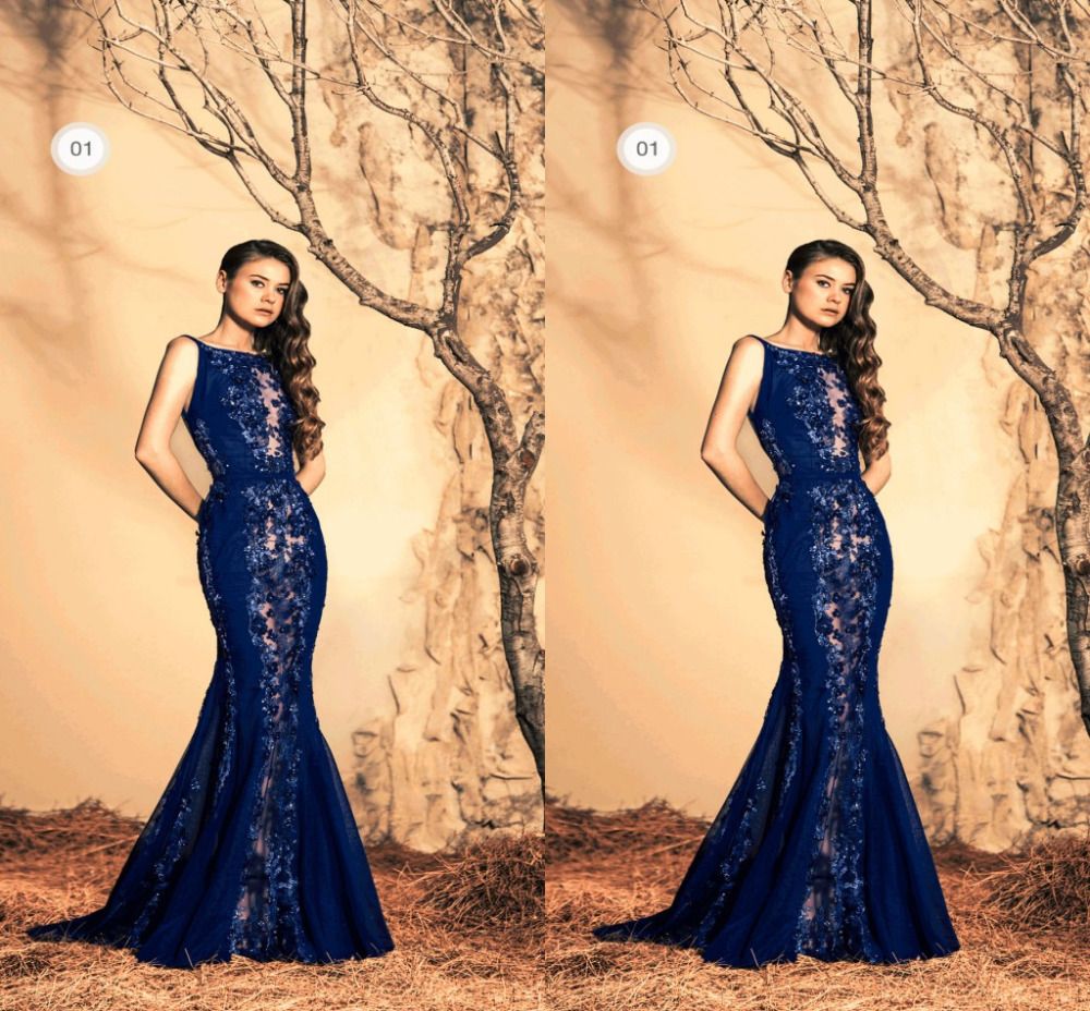 Ziad Nakad 2015 Navy Blue Evening Dresses High Neck Sheer Panel Beaded