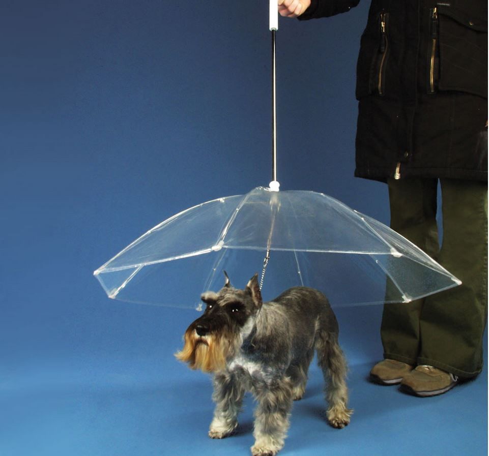 2018 Pet Dog Umbrella Dog Cat Rain Proof Raincoat Teddy Puppy Small