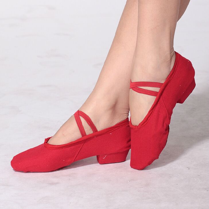 2017 Latin Dancing Shoes Belly Dancing Shoes Heel Ballet Shoes Ballroom