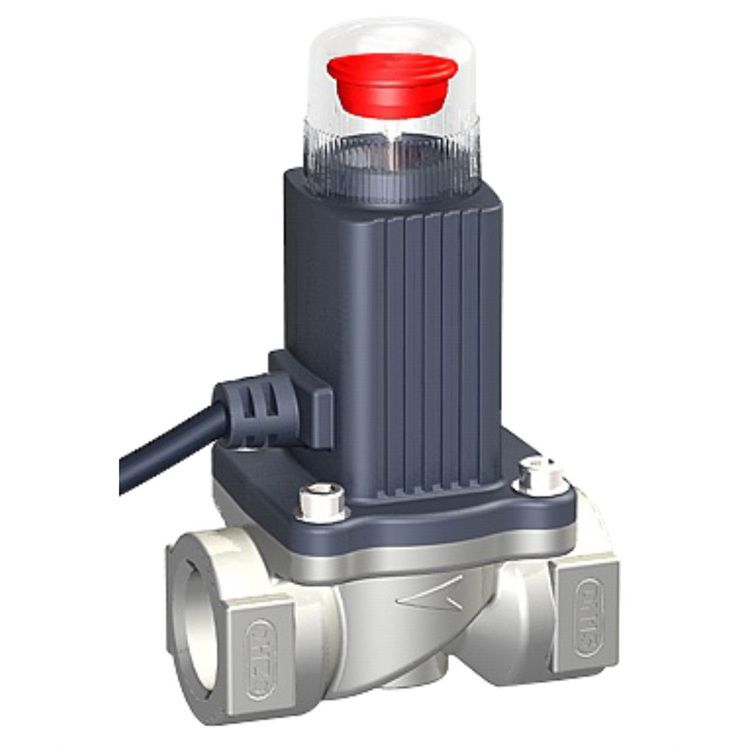 DN20 Solenoid Valve Gas Shutoff Valve Gas Shutoff Valve Online with