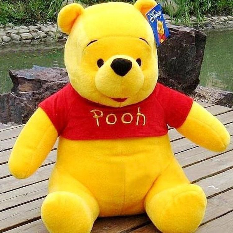 teddy winnie the pooh
