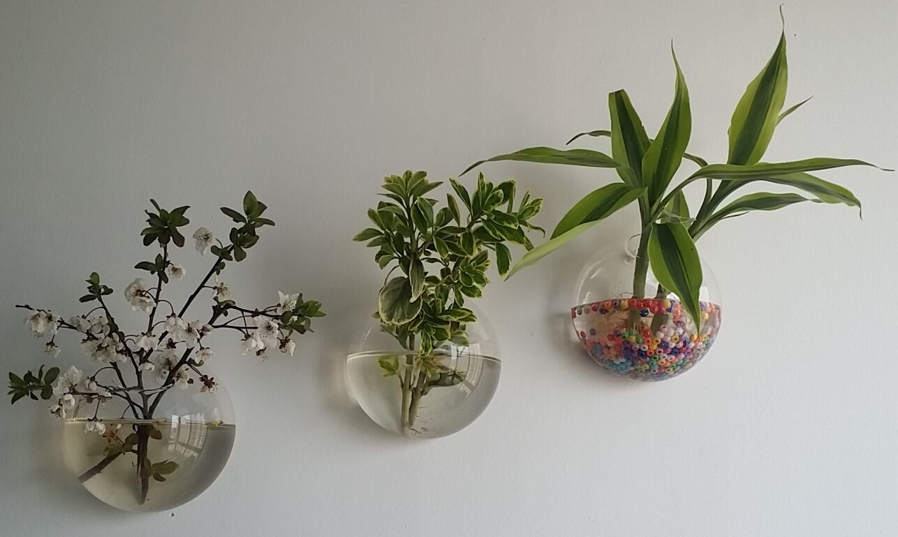 Wall Plant Decor 10cm/12cm/15cm wall glass planter vase,wall bubble terrariums,mini Wall Plant Decor 10cm/12cm/15cm wall glass planter vase,wall bubble terrariums,mini