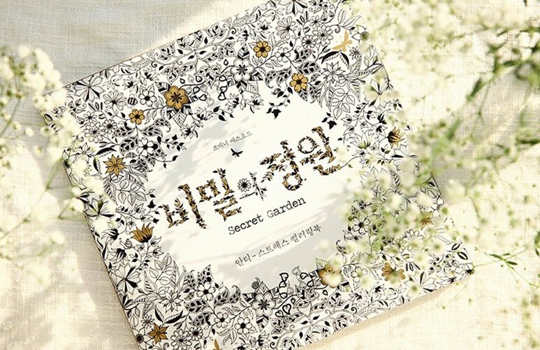 Decompression Artifact Secret Garden An Inky Treasure Hunt And Coloring Book Korean Version Learning
