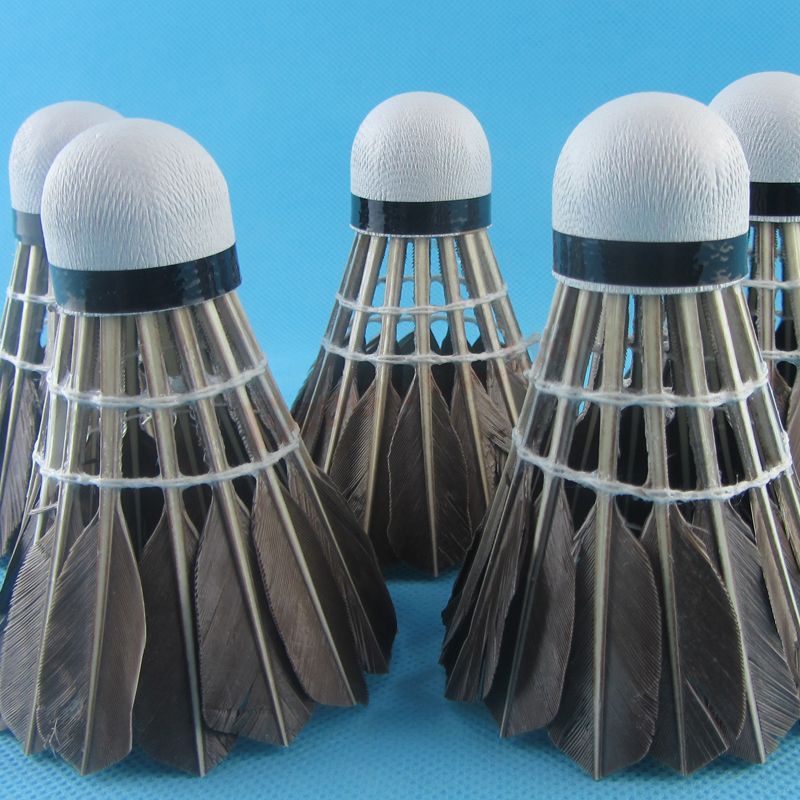 2017 Feather Badminton Shuttlecock Shuttle Speed Birdies Volant