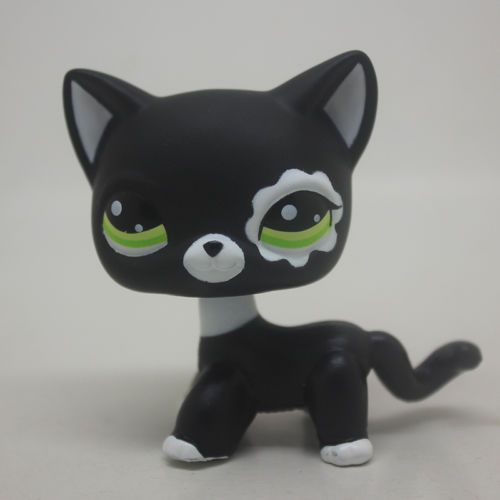 Littlest Pet Shop Friends - Nintendo Wii Littlest Pet Shop is a Canadian–American animated television series developed by Tim Cahill and Julie McNally-Cahill. The series is based on Hasbro's Littlest Pet Shop toy line, and features Blythe Baxter (voiced by Ashleigh Ball, with the character based off the doll of the same name) as the main protagonist, as well as other characters.