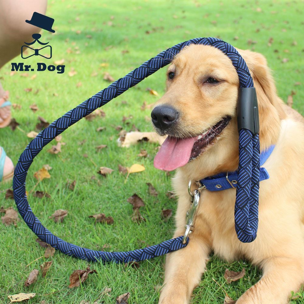 2017 Mr.Dog In Large Dog Golden Retriever Dog Rope Leash Dog Chain