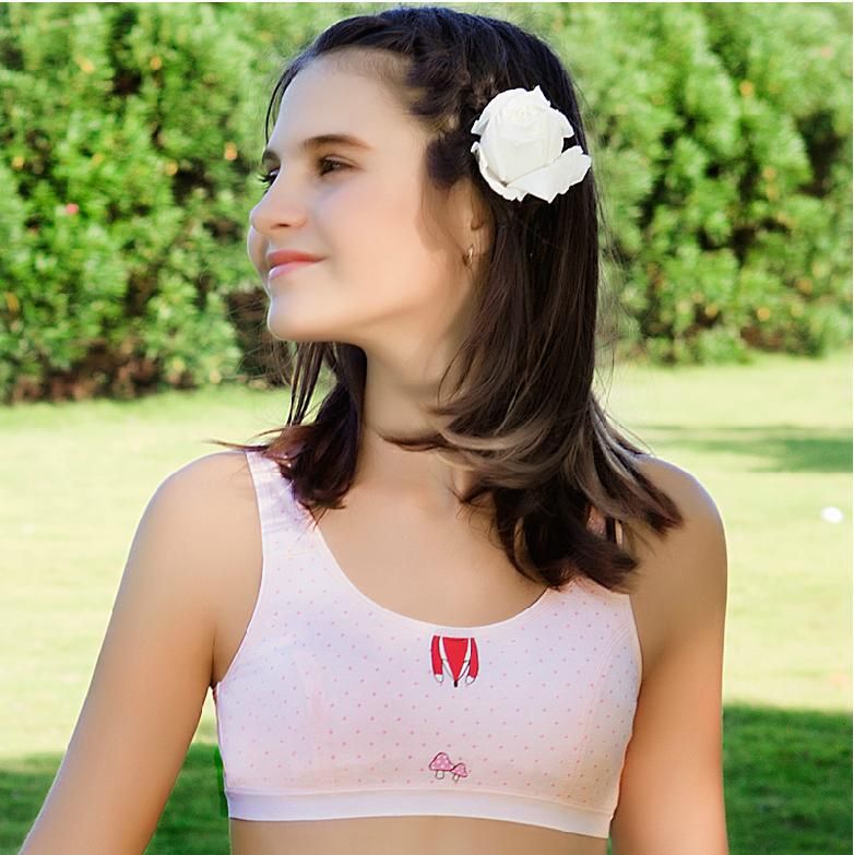 Wholesale Pink Or Gray 2015 Summer Style Cotton Training Bras For 9 To wholesale-pink-or-gray-2015-summer-style-cotton-training-bras-for-9-to