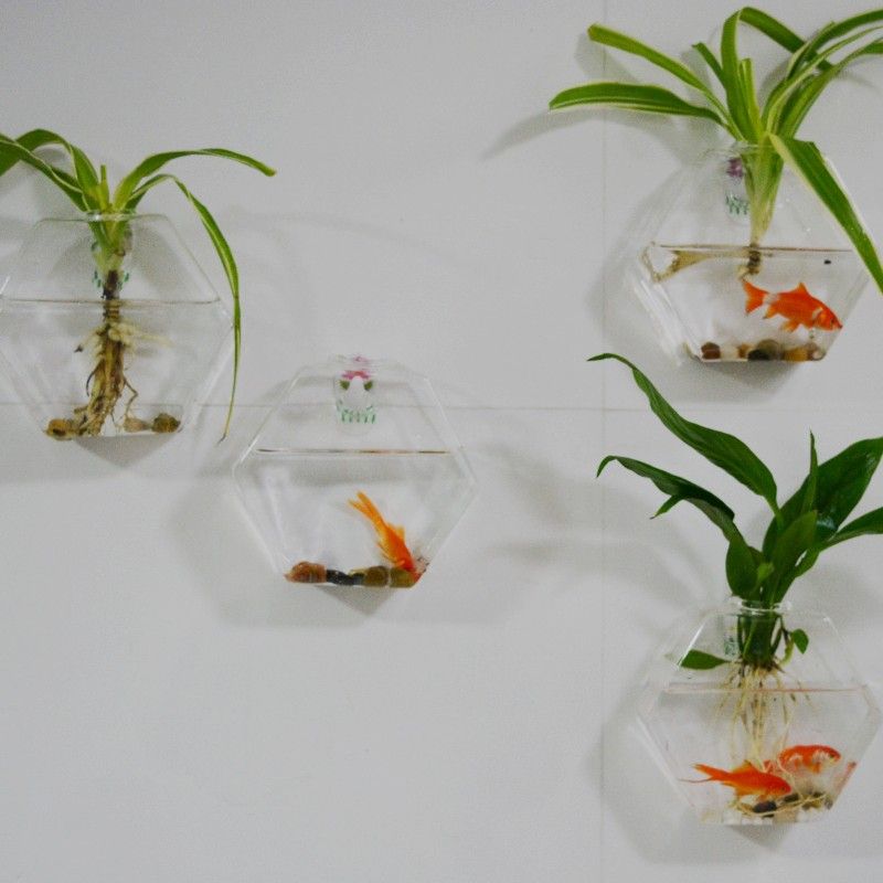 Hexagon glass terrariums,wall planter vase,wall glass fishbowl for ...