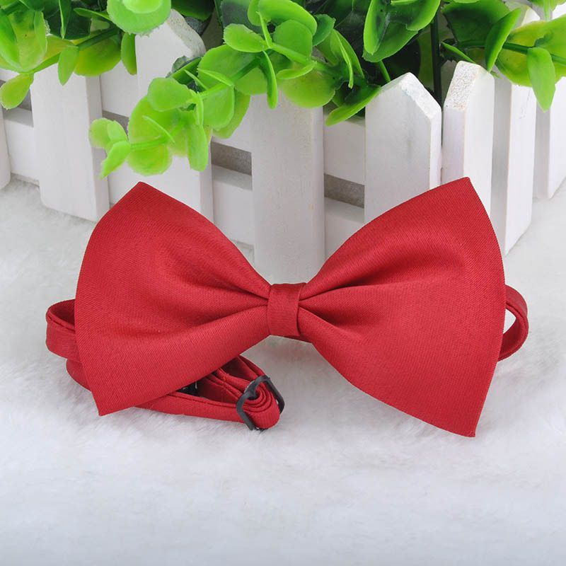 Resource Free Cat Collar Resource Free Cat Collar