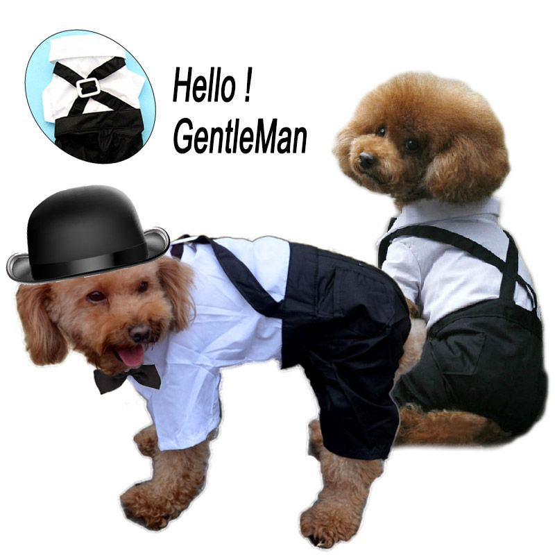 Best Dog Shirt Pants Suit Pet Dog Clothes Spring Summer Autumn Clothing