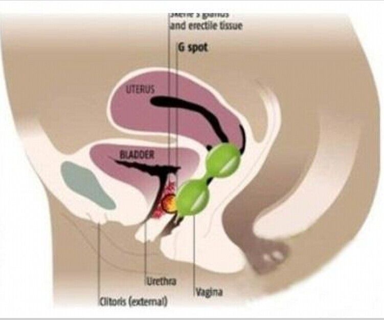 How To Use Orgasm Balls 3