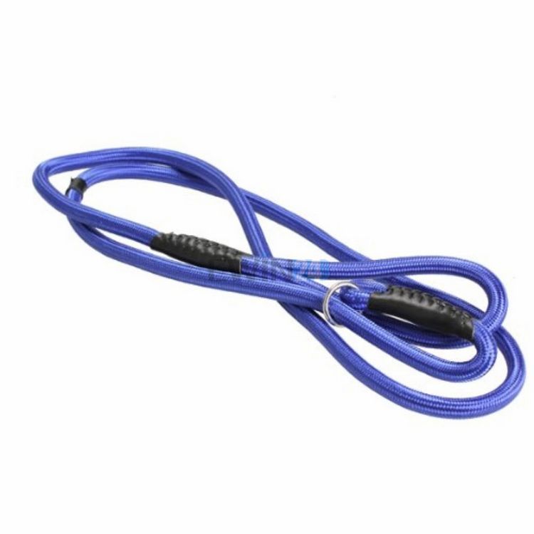2017 Pet Dog Nylon Adjustable Loop Slip Leash Rope Lead From Ewin24