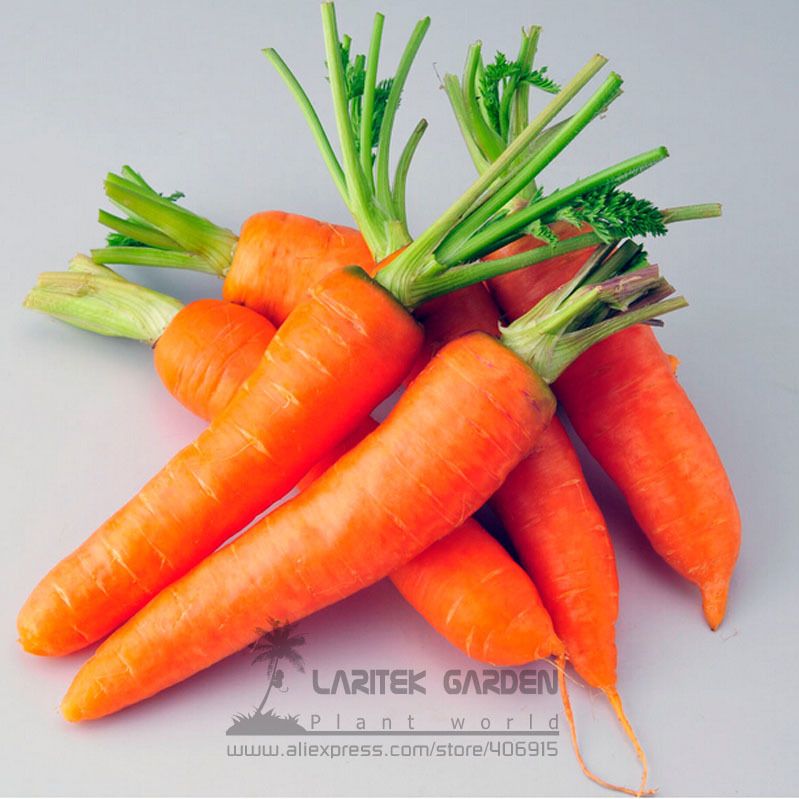 VEGETABLE SEEDS ORGANIC vegetable seeds organic: