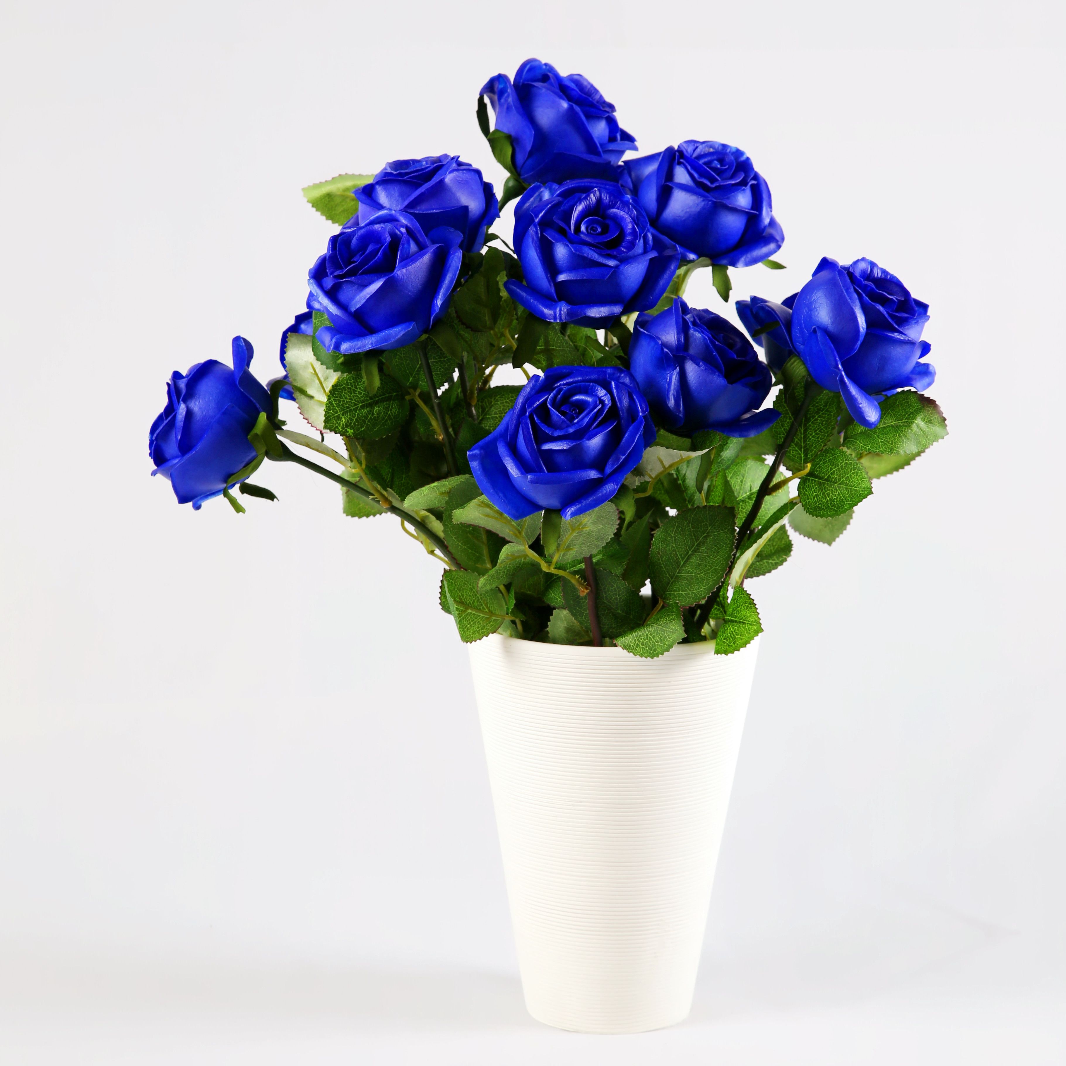 Real Blue Roses For Sale