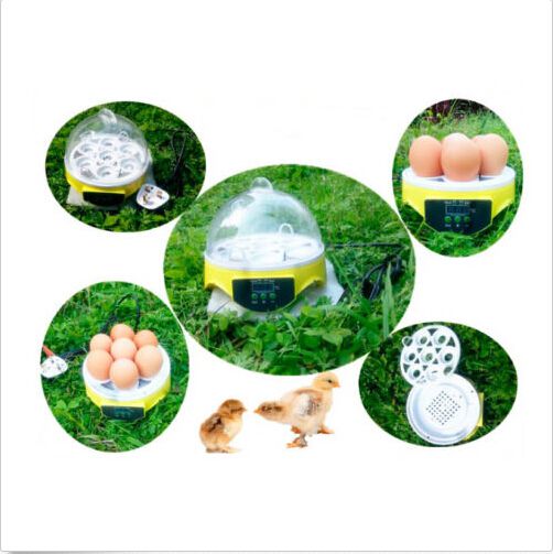 DHL Mini 7 Eggs Incubator Hatching Digital Transparent Chicken Duck 