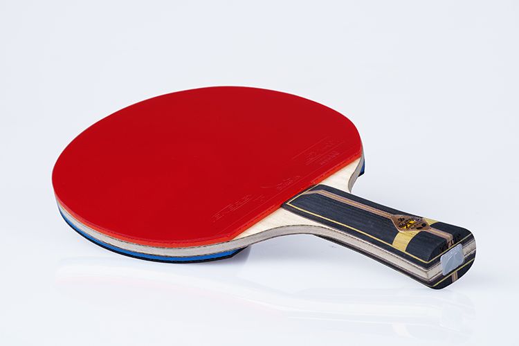2017 Best Professional Table Tennis Racket Offensive Paddle Holder