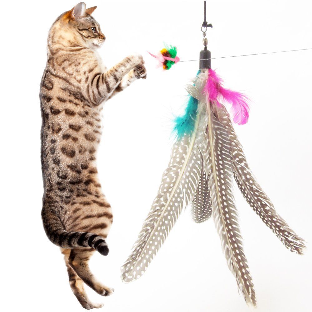 Colorful Feather Design Tease Cat Stick Cat Catcher Teaser Toy Three