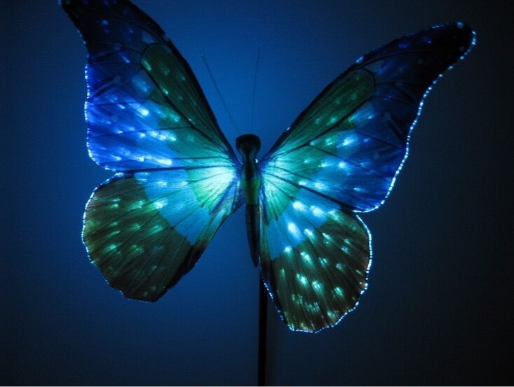 garden decoration solar pin lamp 2x fiber butterfly decoration portable butterfly lamp for gardenlawn - Solar Garden Decor garden decoration solar pin lamp 2x fiber butterfly decoration portable butterfly lamp for gardenlawn - Solar Garden Decor