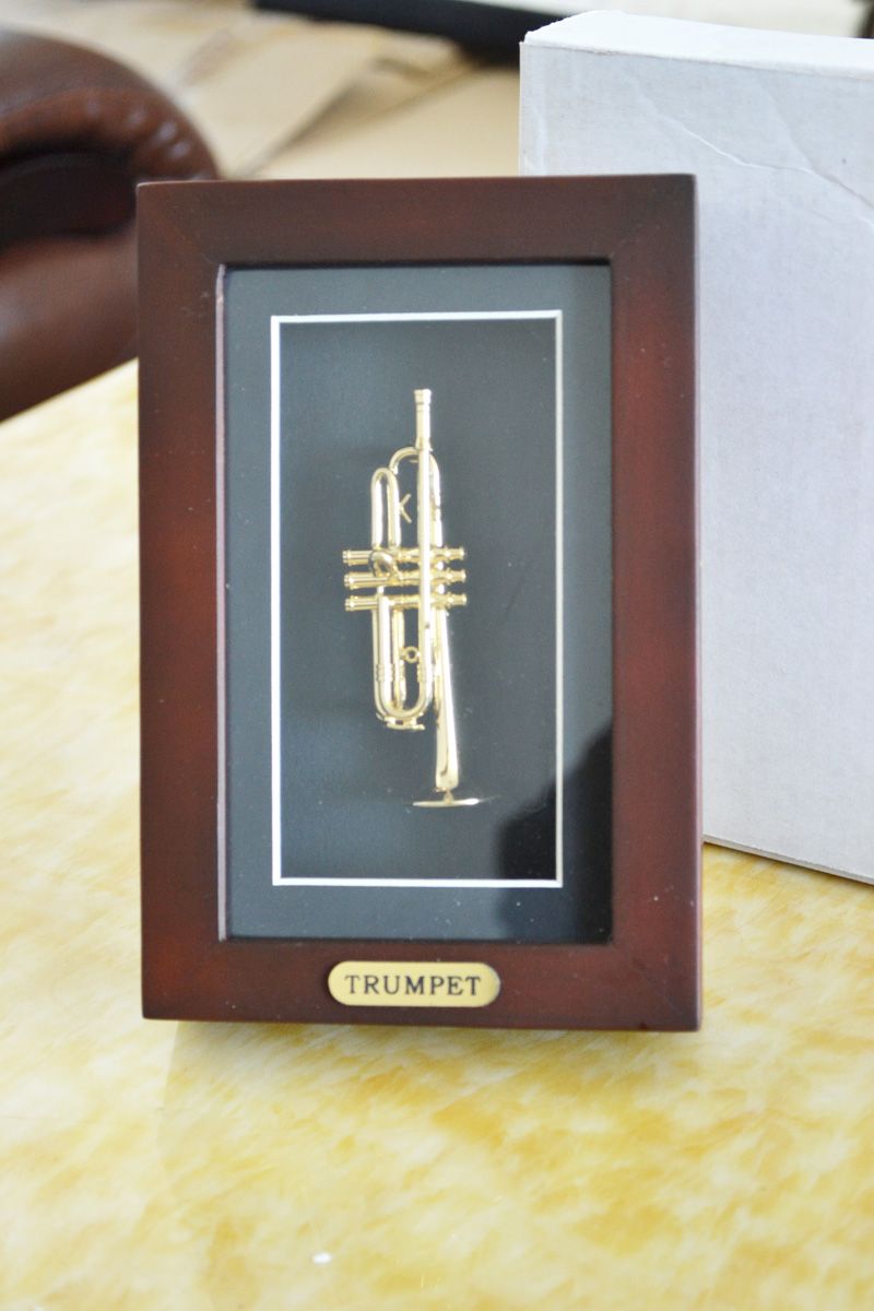 2017 Trumpet Display Case Wall Frame Wood Box Musical