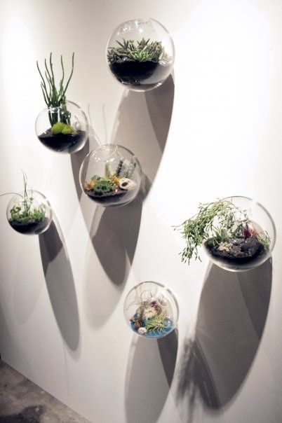 Wall Hanging Decor hanging wall glass fishbowl,bread shaped wall plant/flower vase Wall Hanging Decor hanging wall glass fishbowl,bread shaped wall plant/flower vase