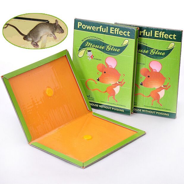 Discount Sticky Mice Board Mouse Stick Sticky Rat Plate Stick Mice Glue