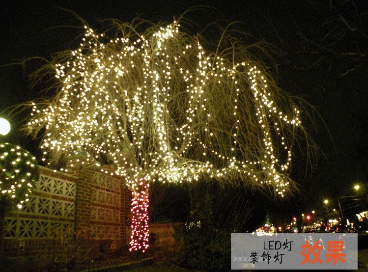 wholesale christmas lights 28 images wholesale wholesale christmas lights 28 images wholesale