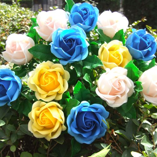 Cheap Beautiful Flower Seeds Hot Sale Colourful Rose Seeds Rainbow