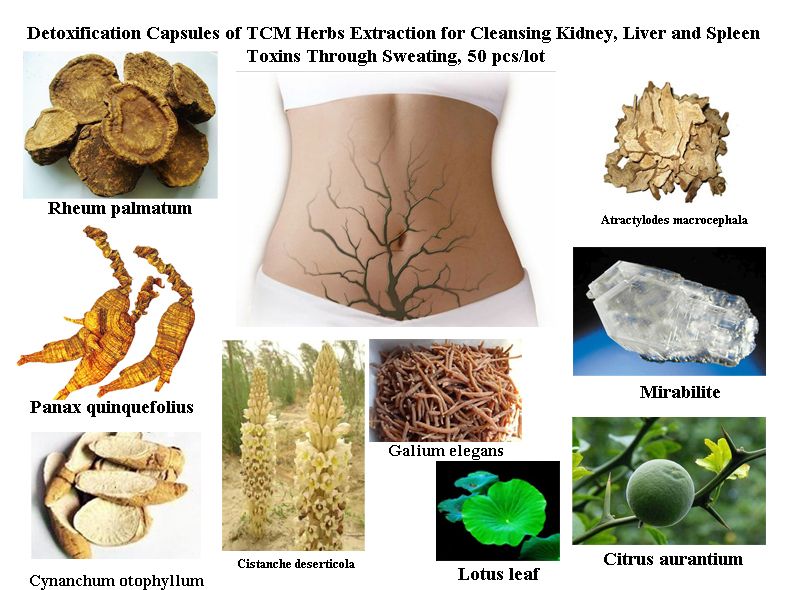 Kidney Liver And Spleen Toxins Through Sweating Natural Therapy