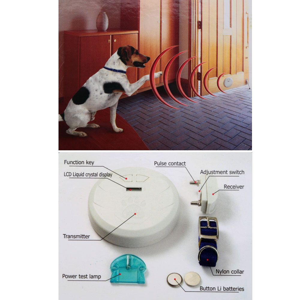 best wireless invisible fence for dogs best wireless invisible fence for dogs