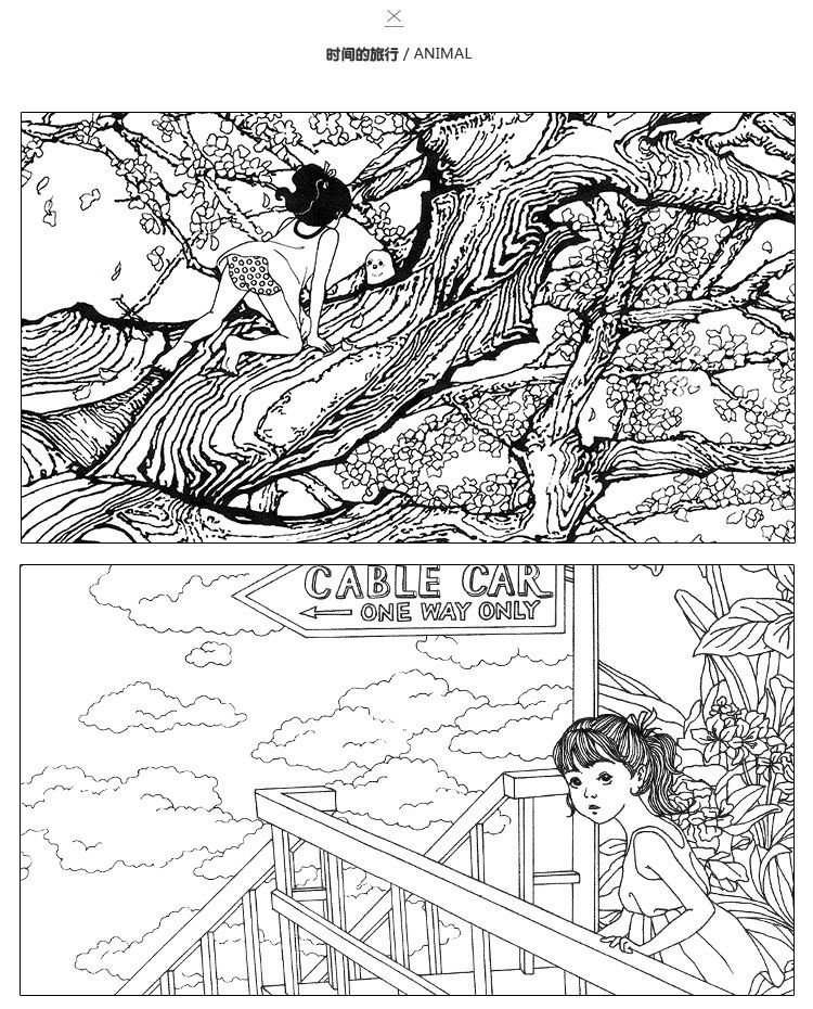 Coloring Book PrettyBaby Secret Garden Painting Drawing 24 Pages Animal Kingdom Enchanted Forest Relieve Stress For Children Adult Grafitti