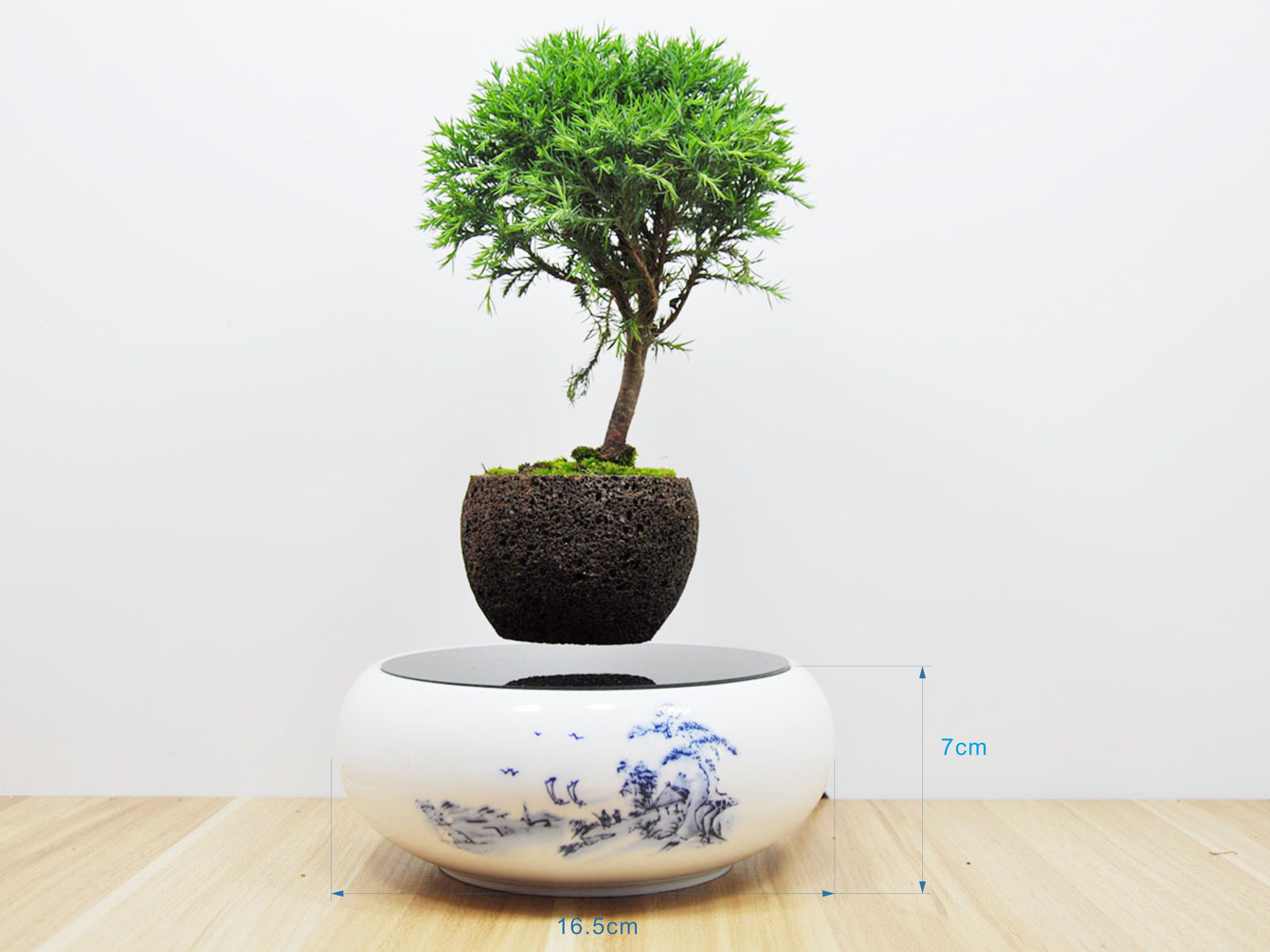 2016 New Design Floating Plants Air Bonsai No