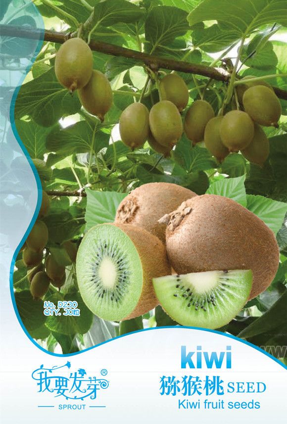 2017 Original Packaging Kiwi Fruit Seeds, Potted The Plants, Min Tree