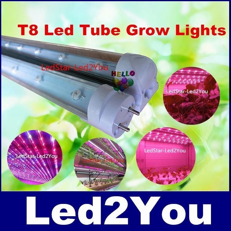 Innovation Indoor Plant Tissue Culture Lights 20x1w Full SpectrumRed660nm Blue460nm Led Grow