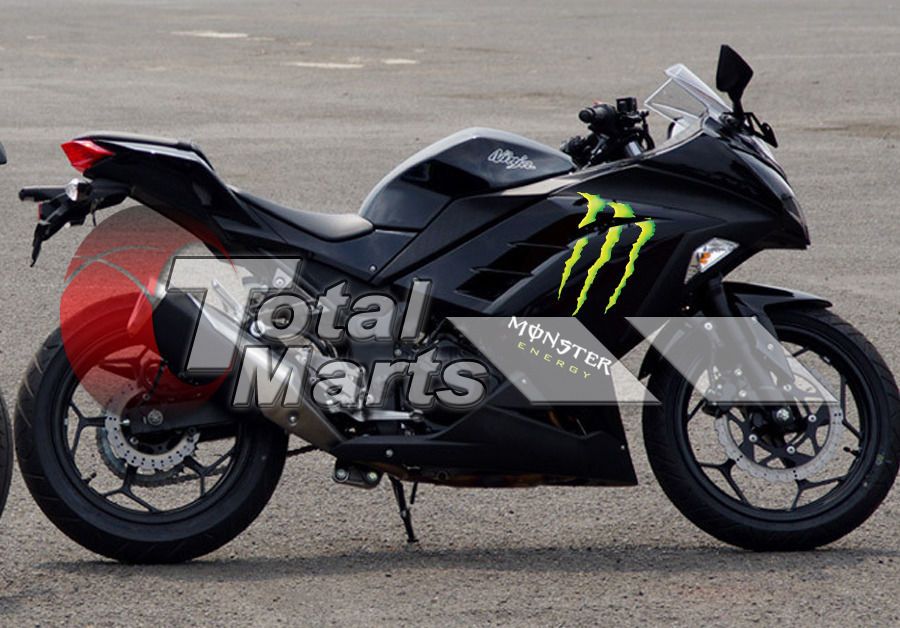 ninja 300 fairings