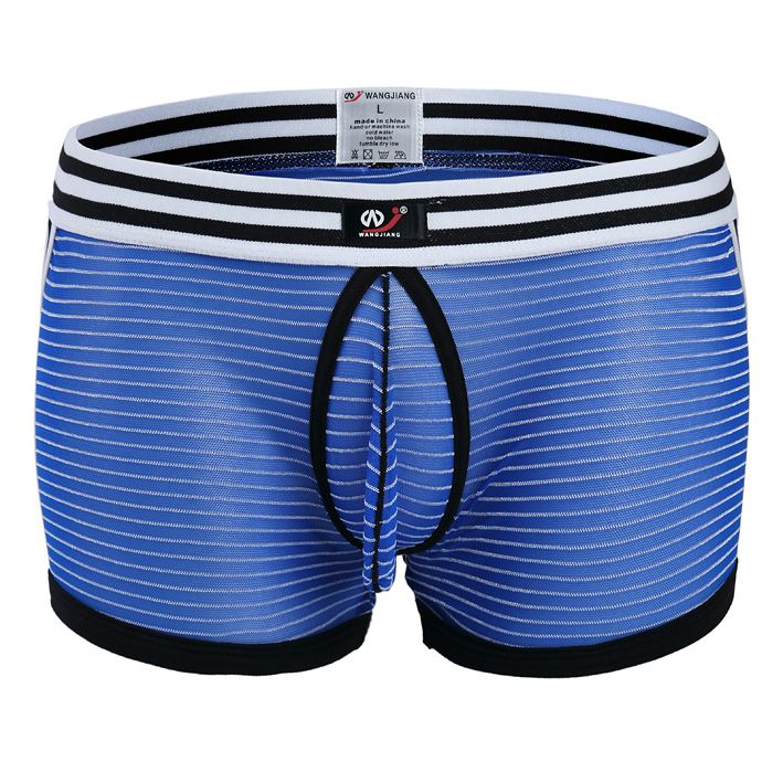 2017 Gauze Mens Boxers Striped Sexy Underwear Mesh Boy Shorts Male Low