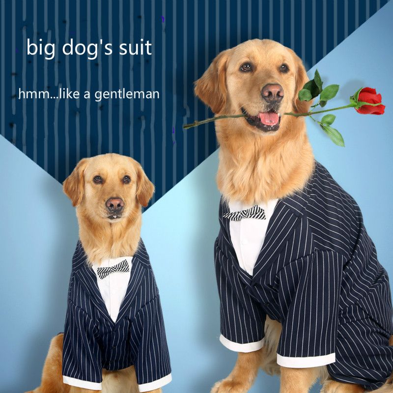 2017 Large Husky Costume Big Dog Striped Tie Suit Golden Retriever