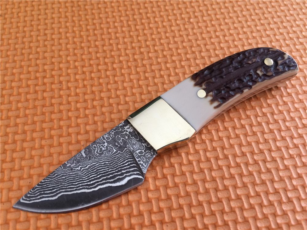 Small Mini Fixed Blade Knife Oem Browning Elk Ridge Damascus Steel
