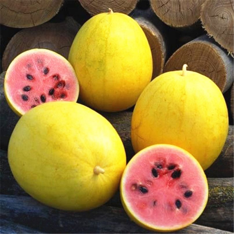 2018 Yellow Skin Watermelon 5 Seeds Super Sweet Delicious Easy To Germinate Diy Home Garden