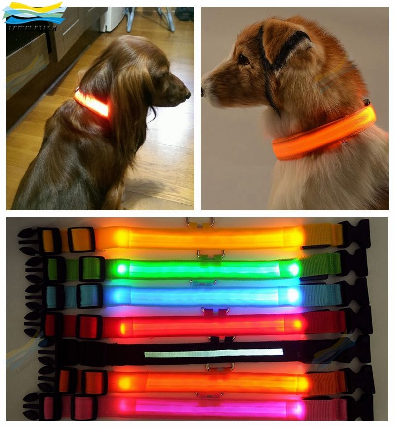 2017 Nylon Led Pet Dog Collar With Battery Night Safety Flashing Glow