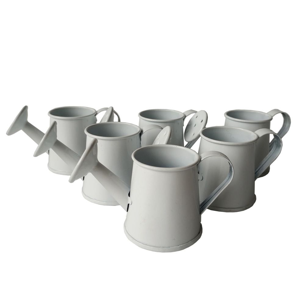 2017 Wholesale Cheap Mini Small Smart Decorative Watering Cans Wedding