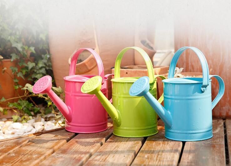 2017 Kids Watering Can, Mini Size, Galvanized Steel Material,Any Color Avialable,Garden From