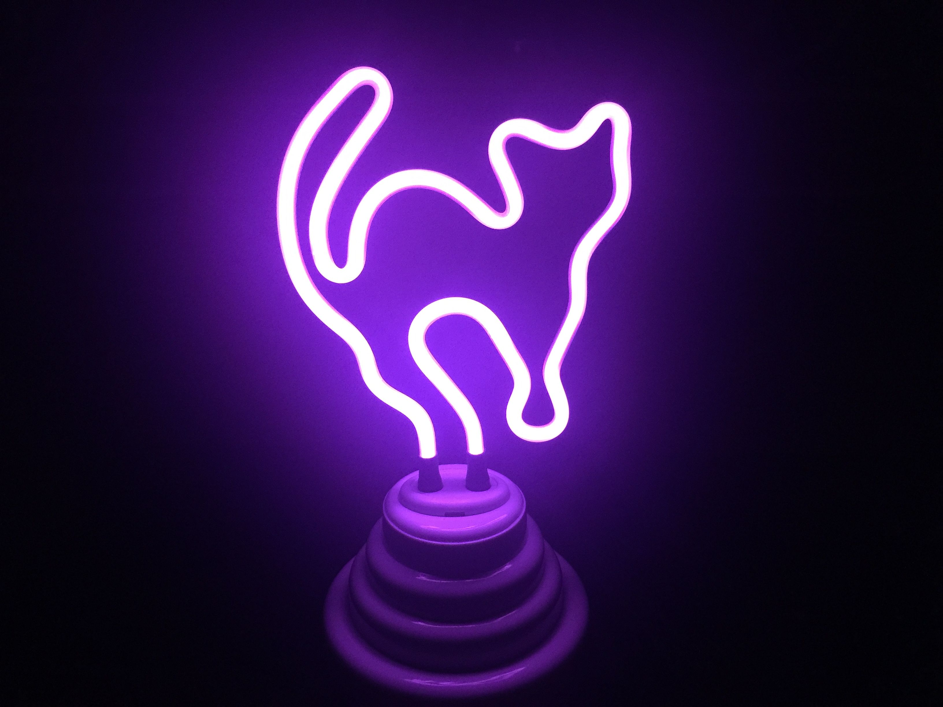 2017 neon light cute purple cat kitten kitty night light neon light decor
