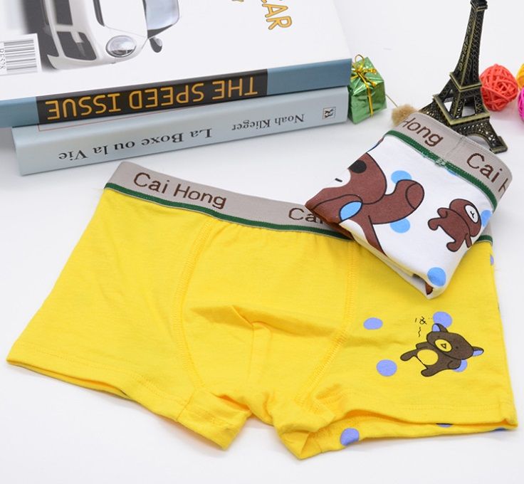Boy Comfortable Panties Children Underwear Boy Underwear Cute Boy Boxes