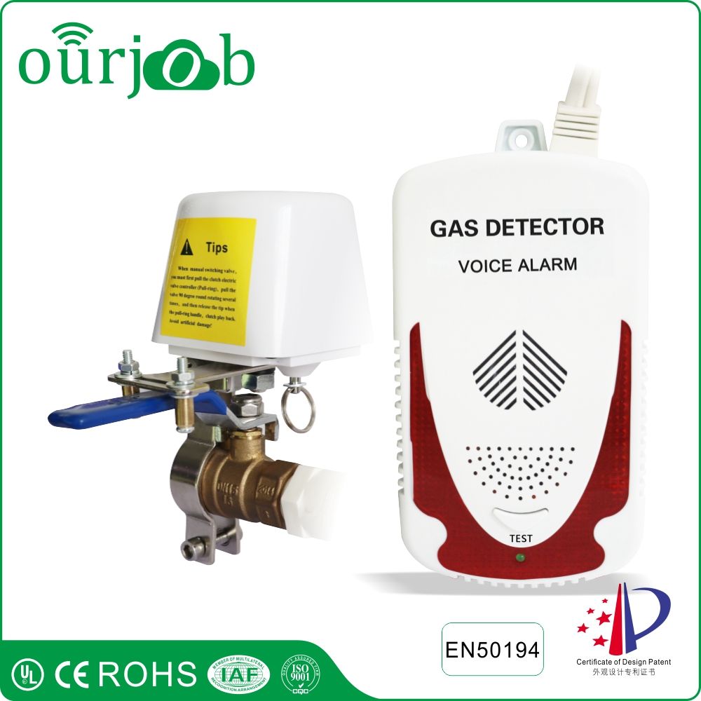 LPG Natural Gas Alarm Combustible Gas Leak Detector with DN15 Manipulator Valve Combustible Gas