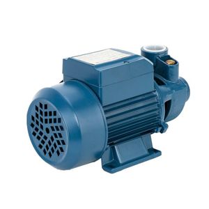 1/2HP électrique industriel centrifuge clair propre pompe à eau piscine étang 110V bleu